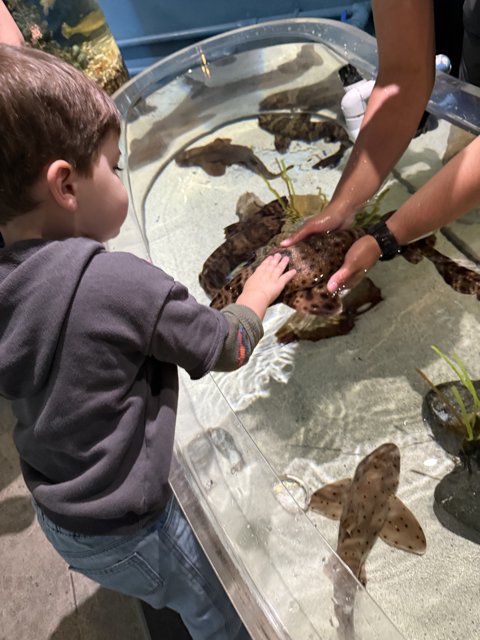 Touching the Wonders of the Sea