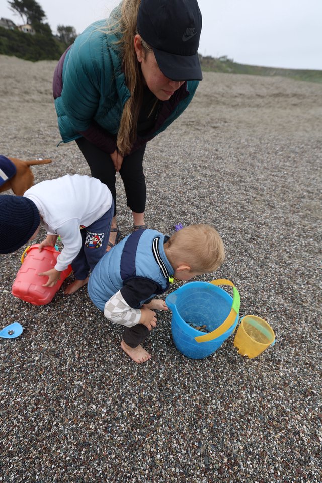 Toddlers Exploring Pebbles on a Misty Beach