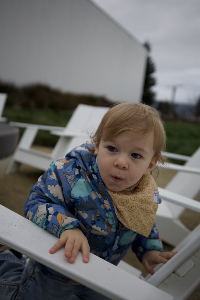Toddler in Blue Patterned Jacket at Outdoor Dining
