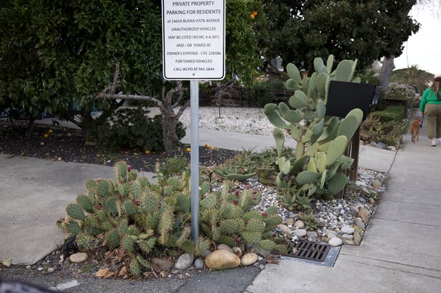 Private Property Parking Sign with Desert Landscaping