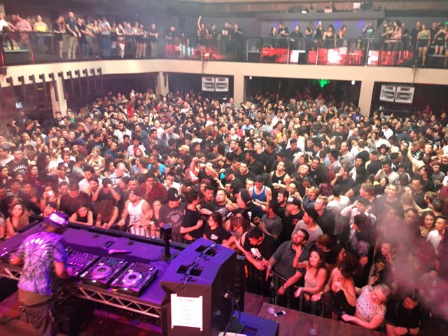 Urban Nightlife: A Massive Crowd at a Concert in LA