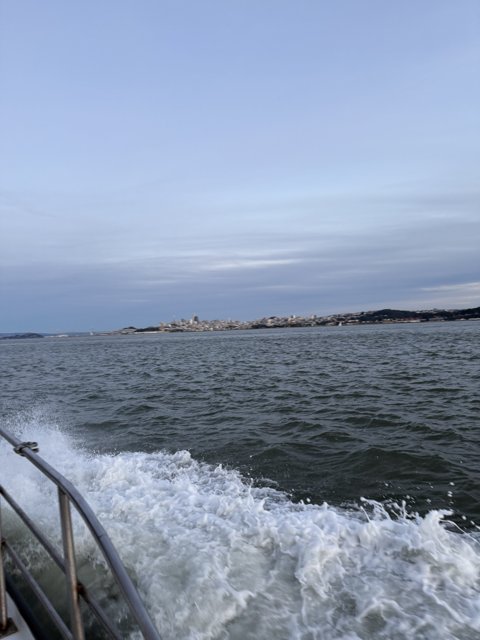 Tranquil Waves of San Francisco Bay