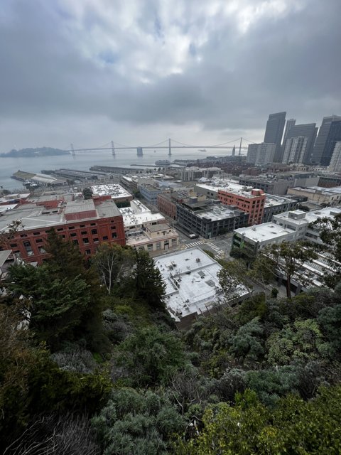 Panoramic San Francisco Skyline View from Hilltop