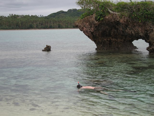 A Dip in the Cove