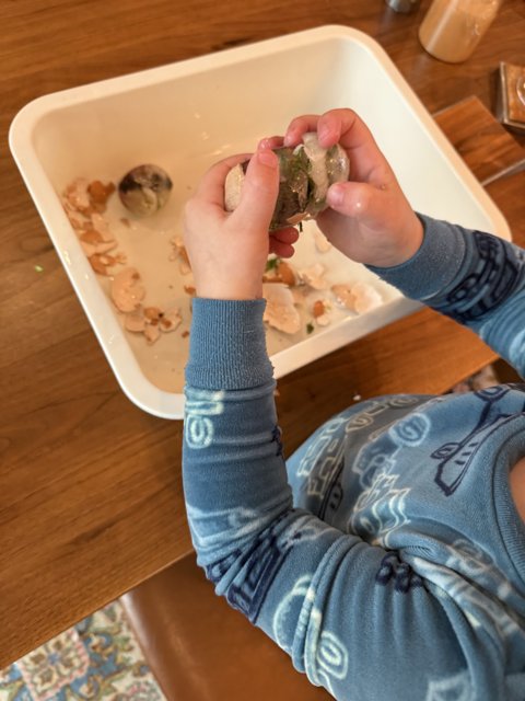 Tiny Hands, Big Discoveries