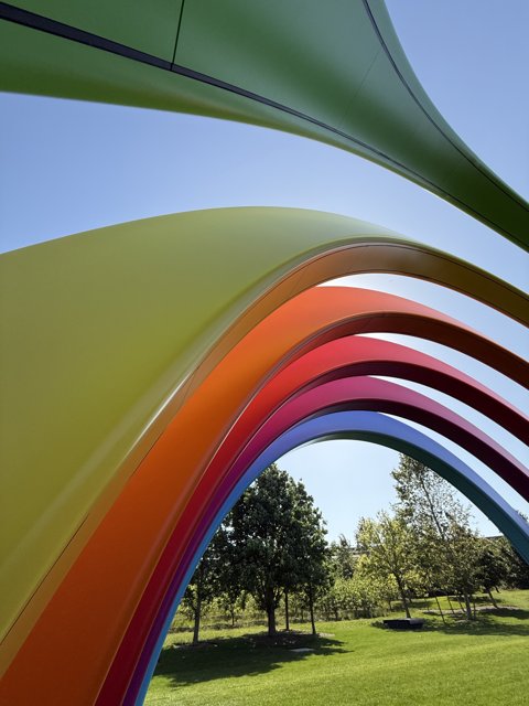 Colors of Innovation