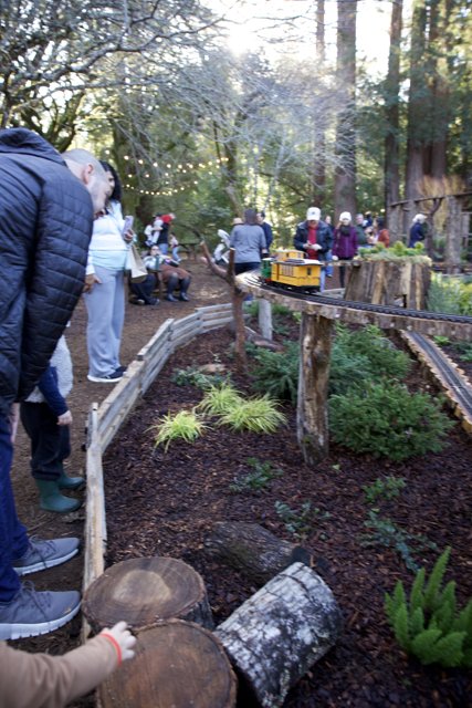 Woodland Adventure at Thistlewyck