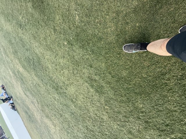 Strolling Over Spring Turf