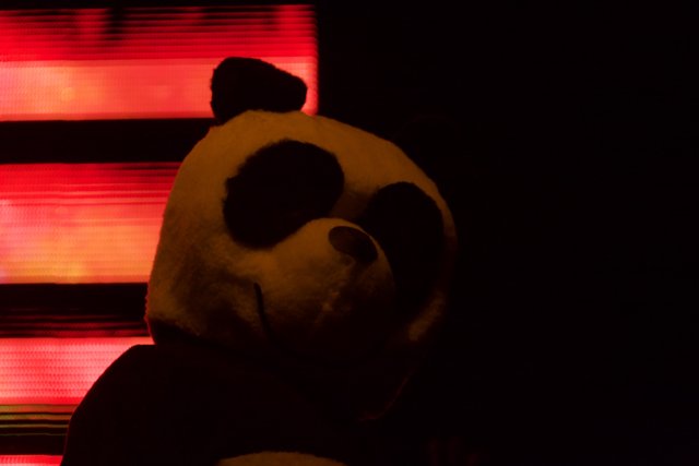 A Night with the Panda Mascot at Coachella