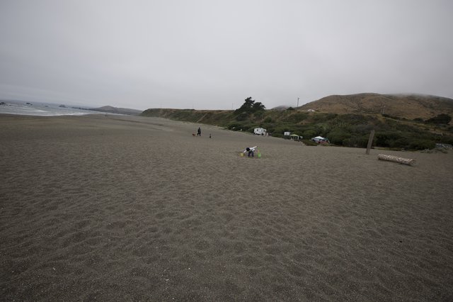 Foggy Northern California Beach on Father's Day