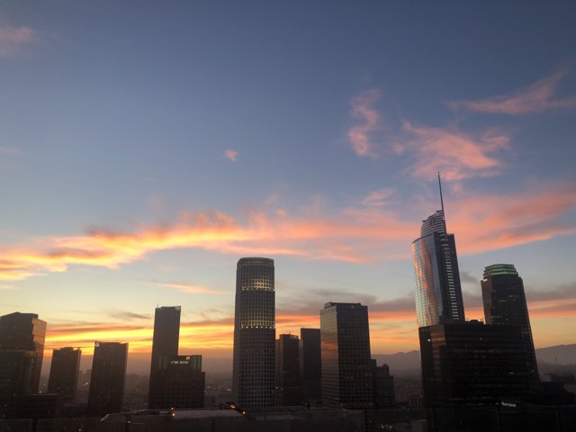 The Radiant LA Skyline