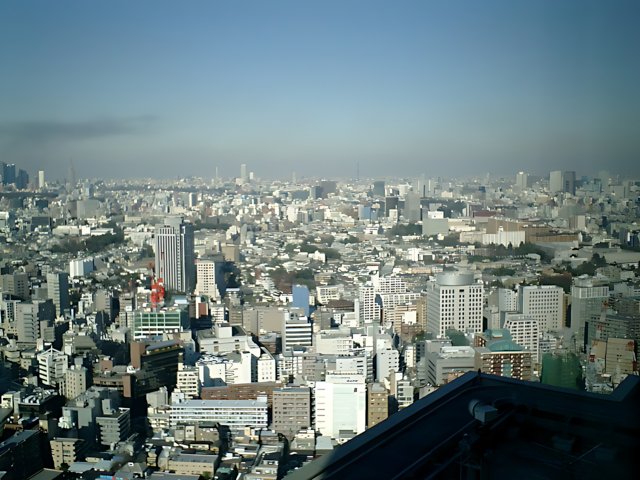 Tokyo Metropolis