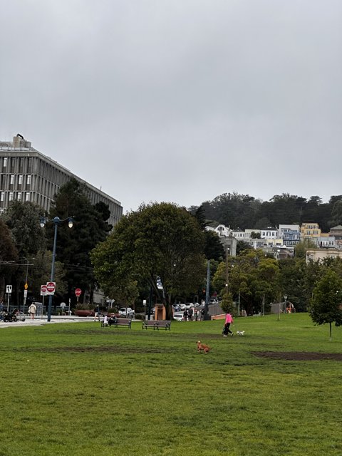 A Peaceful Afternoon in Duboce Park