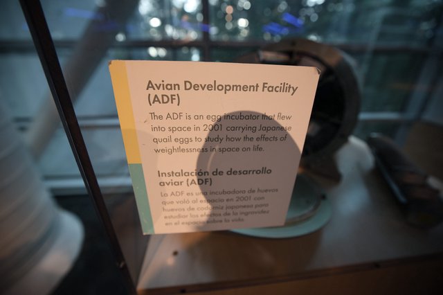 Avian Development Facility Exhibit at Space Museum