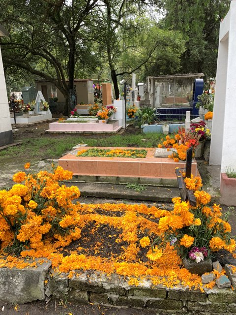 A Touch of Vibrant Serenity in the Cemetery