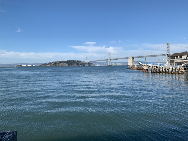 Majestic Bay Bridge from the Waterfront