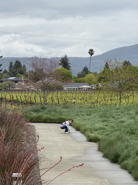 Exploring Nature's Pathway