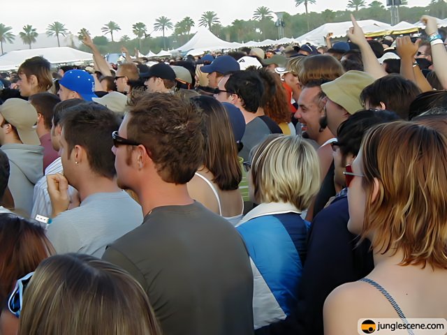 Coachella 2002 Music Festival Crowd