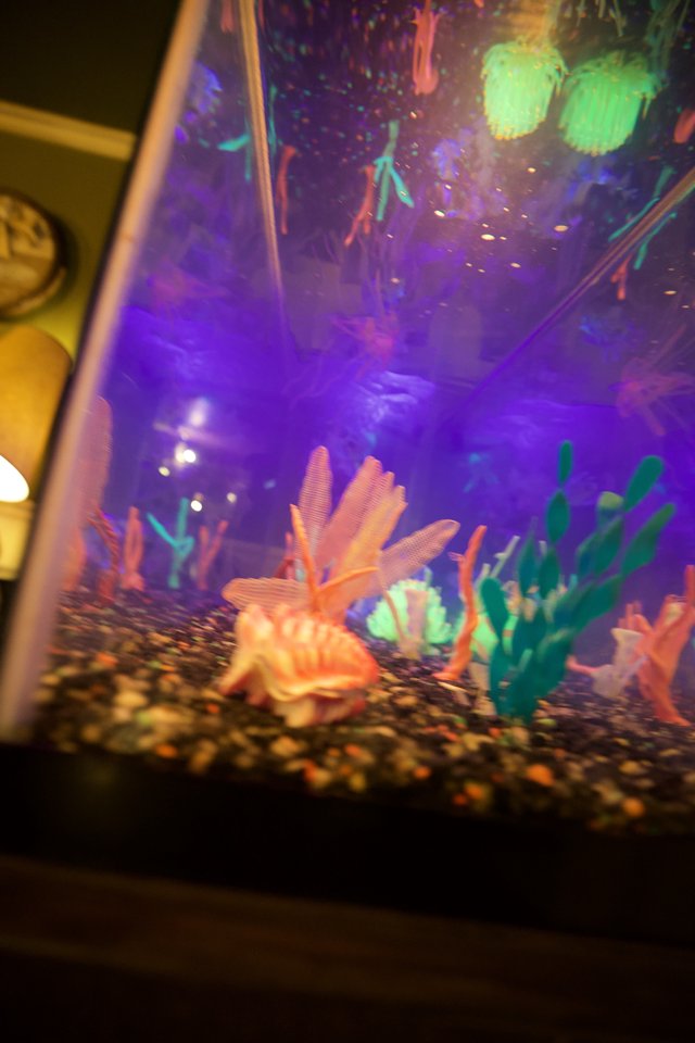 Neon-Lit Fantasy Aquarium with Fluorescent Coral Decorations