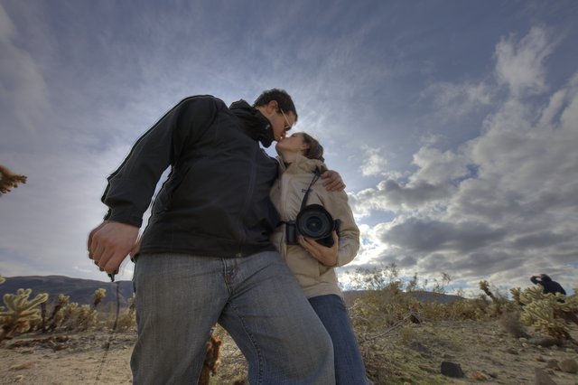 A Desert Kiss Among Joshua Tree Cacti
