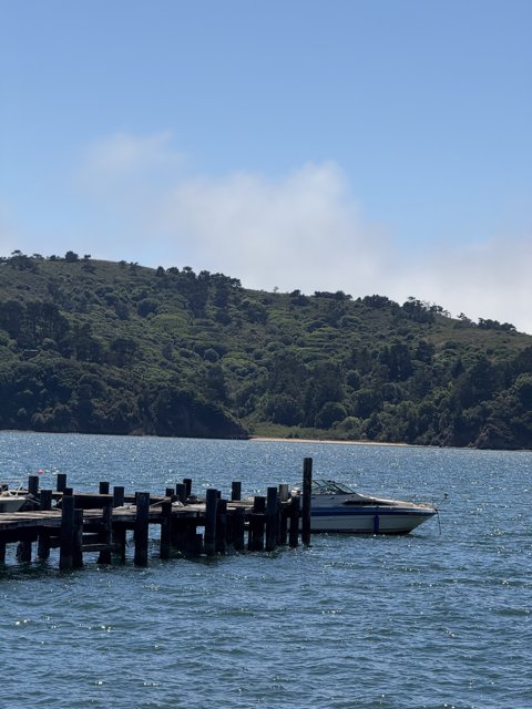 Tranquil Waters of Tomales Bay