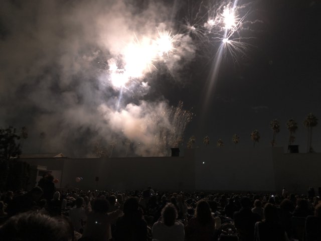 Fireworks Ignite the Night Sky at Concert