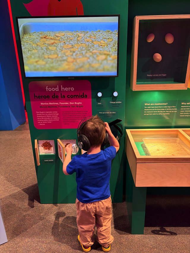 Young Boy Explores Interactive Museum Exhibit with Headphones