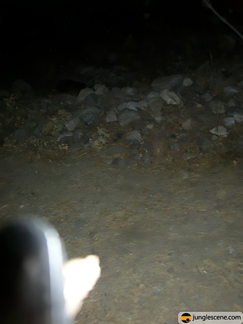 Nighttime Rock Photography
