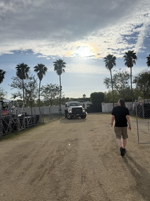 Strolling Under Palm Skies