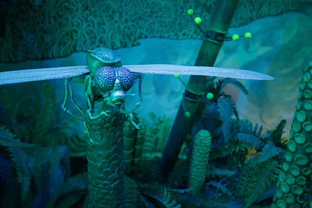 Iridescent Dragonfly Sculpture in Mystical Garden Setting