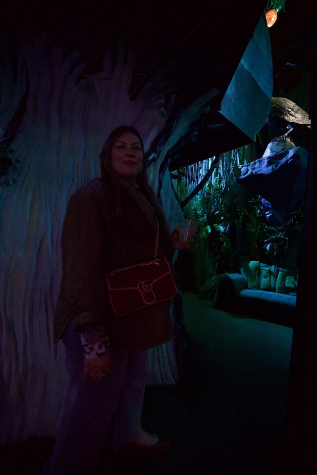 Woman Posing in Enchanted Forest Themed Exhibit