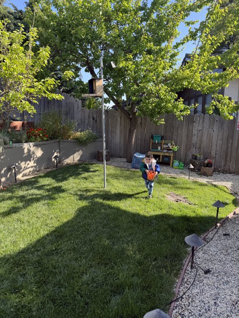 Springtime Adventures in the Backyard