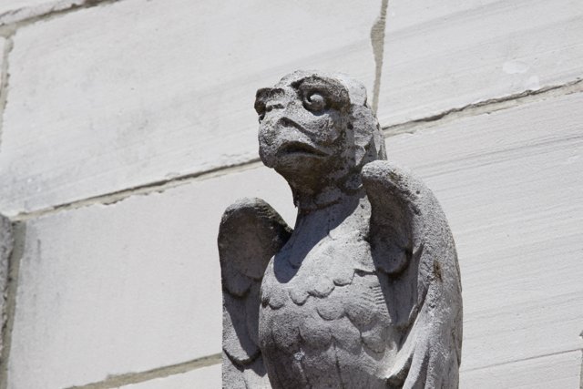 Guardian of the Castle