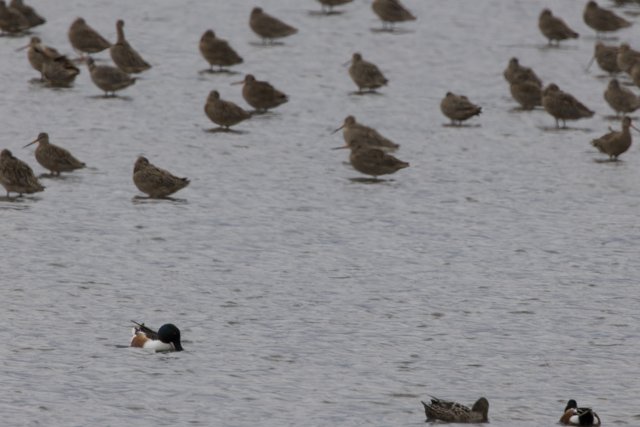 A Tranquil Gathering at San Pablo Bay