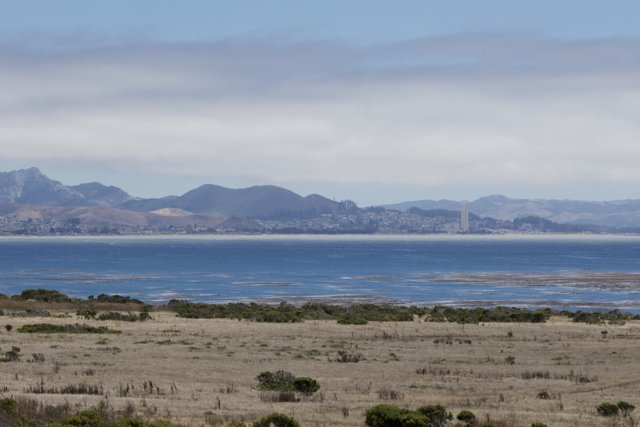 Coastal Serenity in Cayucos