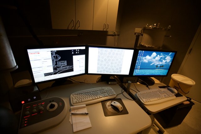 Three Computer Monitors on a Desk