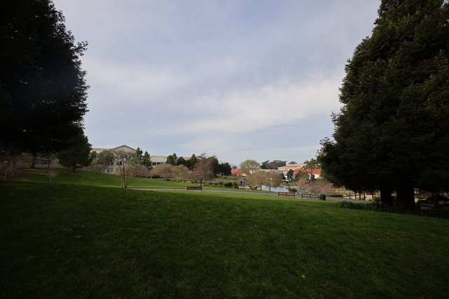Tranquil Park Grounds at Skywalker Ranch Estate