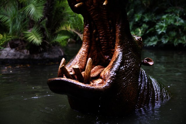 A Majestic Hippo Encounter at Disneyland