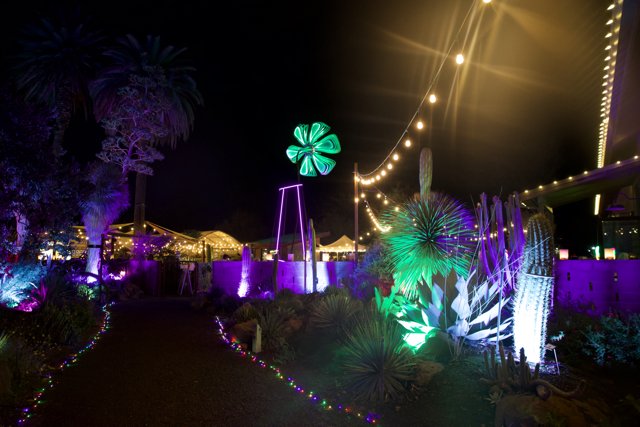 Enchanted Evenings at Ruth Bancroft Garden