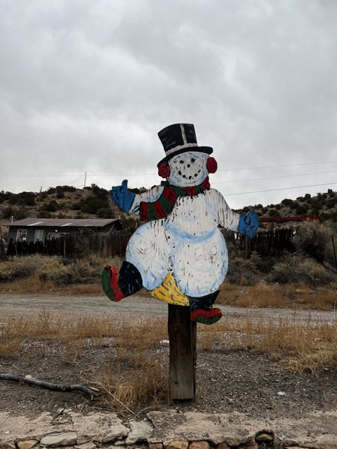 Snowman in a Desert Wonderland