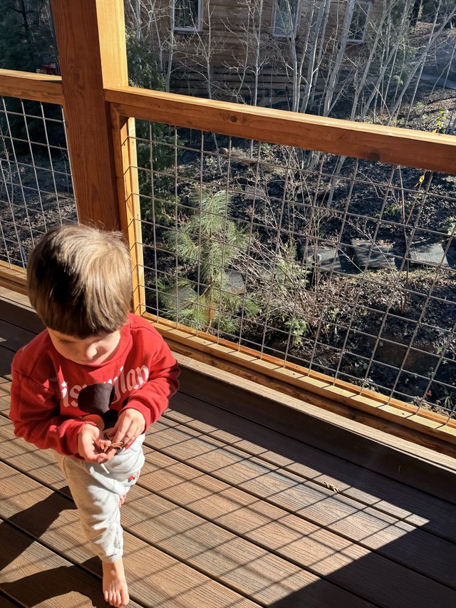 Curious Toddler Explores Deck at Yosemite Cabin