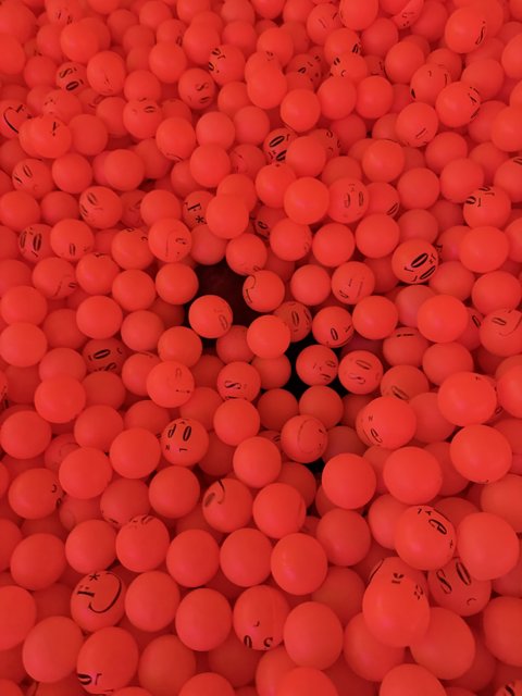 Faces in the Crowd