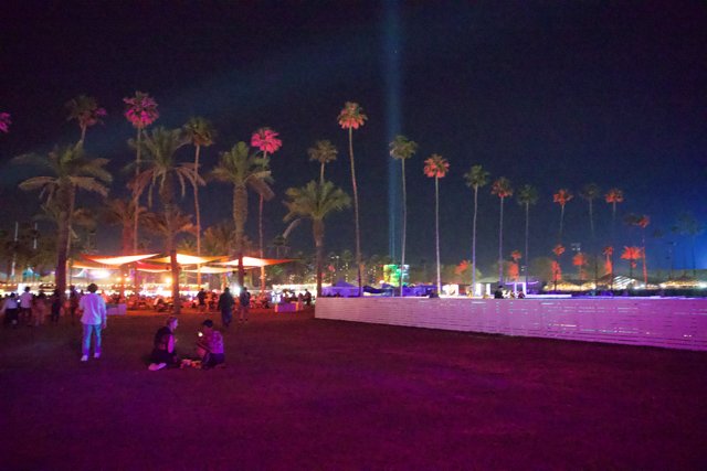 Palm Silhouettes and Festival Lights