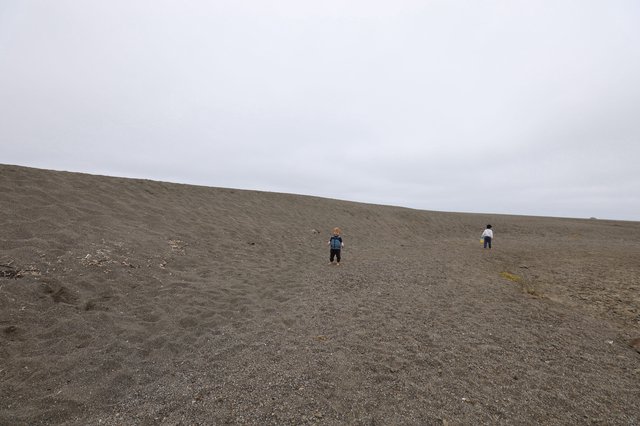 Children Exploring a Vast Dark Sand Beach