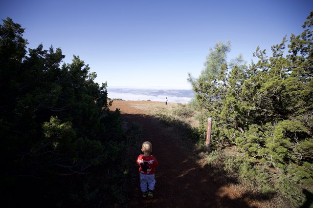 Young Explorer Gazes Above the Clouds at Summit