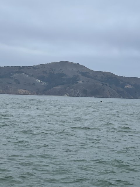 Majestic scenery at San Francisco's coast