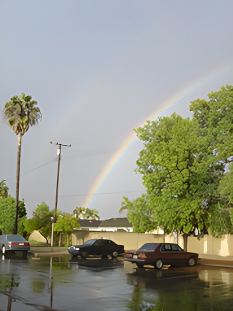 The Rainbow Over a Suburban Oasis