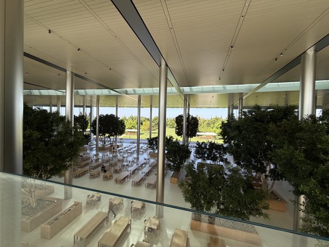 Modern Serenity at Apple Park