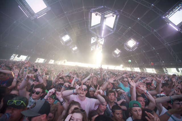 Coachella Vibes: A Thrilling Night of Music and Fun with Pokras Lampas