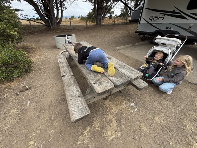 Morning Playtime in Cambria